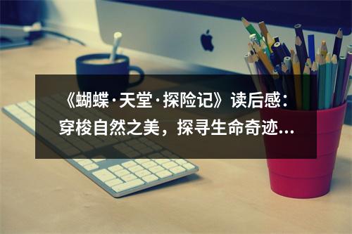 《蝴蝶·天堂·探險(xiǎn)記》讀后感：穿梭自然之美，探尋生命奇跡 (800字)