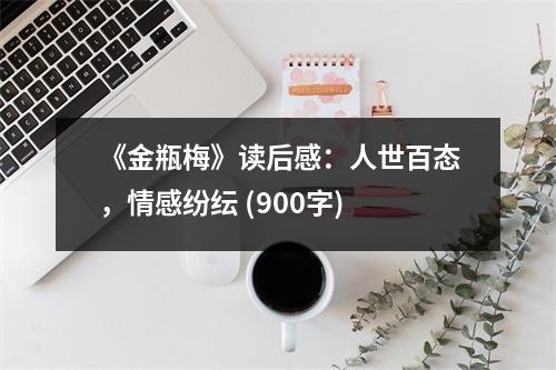 《金瓶梅》讀后感：人世百態(tài)，情感紛紜 (900字)