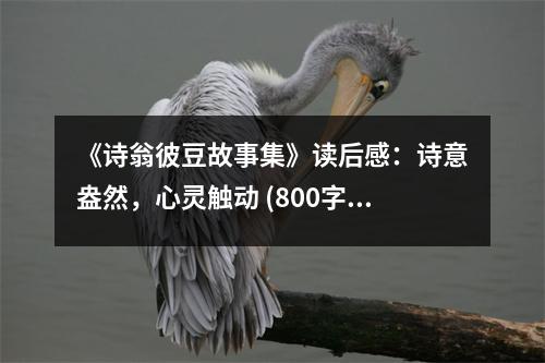 《詩翁彼豆故事集》讀后感：詩意盎然，心靈觸動 (800字)