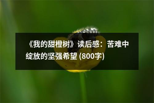 《我的甜橙樹》讀后感：苦難中綻放的堅強希望 (800字)