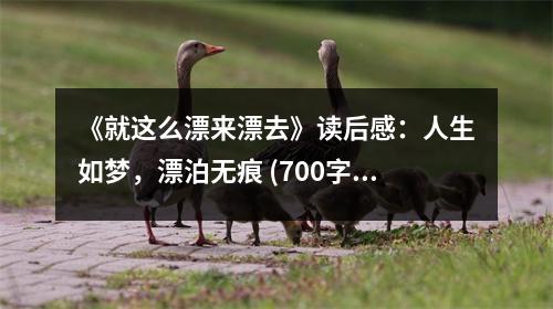 《就這么漂來漂去》讀后感：人生如夢，漂泊無痕 (700字)