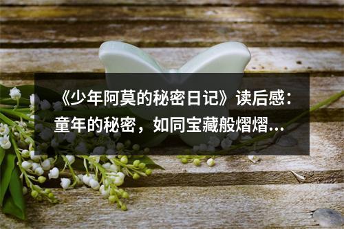 《少年阿莫的秘密日記》讀后感：童年的秘密，如同寶藏般熠熠生輝 (900字)