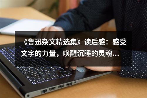 《魯迅雜文精選集》讀后感：感受文字的力量，喚醒沉睡的靈魂 (750字)