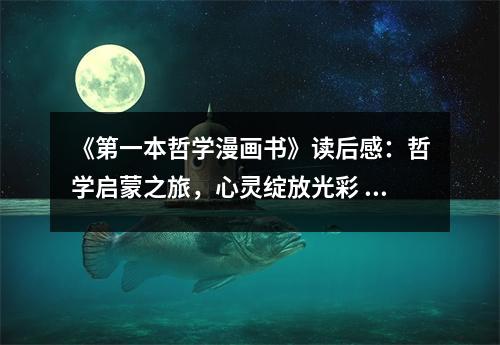 《第一本哲學(xué)漫畫書》讀后感：哲學(xué)啟蒙之旅，心靈綻放光彩 (700字)
