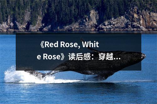 《Red Rose, White Rose》讀后感：穿越時空的愛戀 (700字)