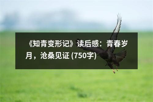 《知青變形記》讀后感：青春歲月，滄桑見證 (750字)