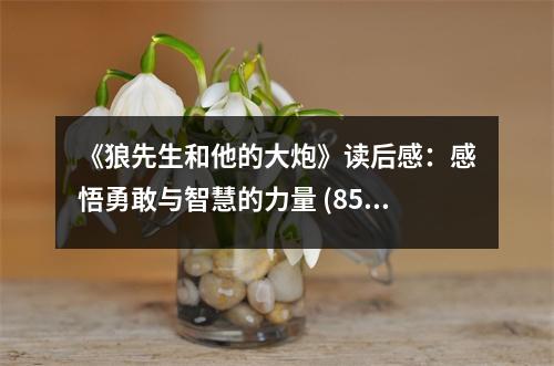 《狼先生和他的大炮》讀后感：感悟勇敢與智慧的力量 (850字)