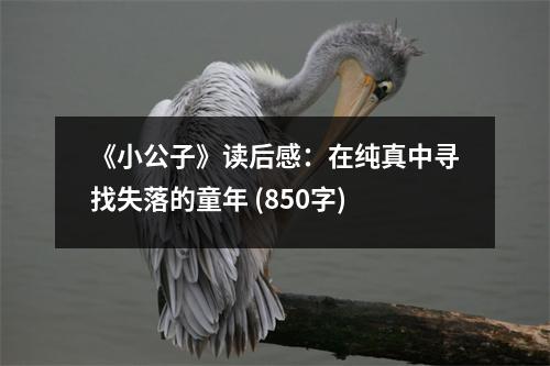 《小公子》讀后感：在純真中尋找失落的童年 (850字)