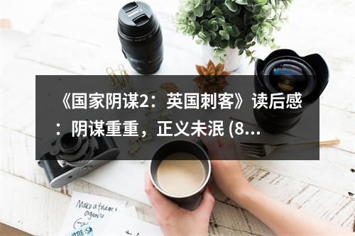《國家陰謀2：英國刺客》讀后感：陰謀重重，正義未泯 (850字)
