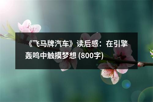 《飛馬牌汽車》讀后感：在引擎轟鳴中觸摸夢想 (800字)
