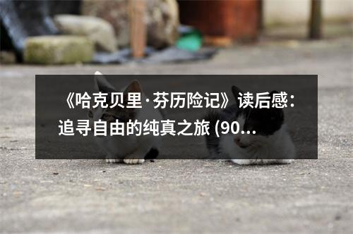 《哈克貝里·芬歷險記》讀后感：追尋自由的純真之旅 (900字)