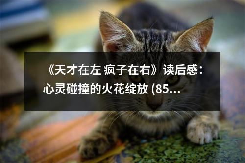 《天才在左 瘋子在右》讀后感：心靈碰撞的火花綻放 (850字)