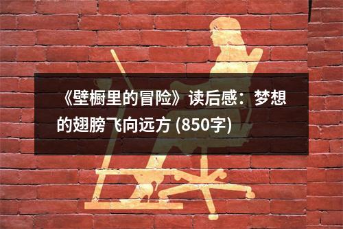 《壁櫥里的冒險》讀后感：夢想的翅膀飛向遠(yuǎn)方 (850字)