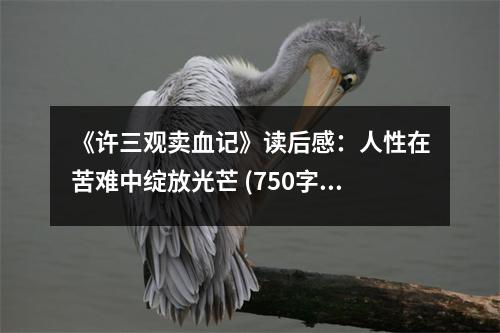 《許三觀賣血記》讀后感：人性在苦難中綻放光芒 (750字)