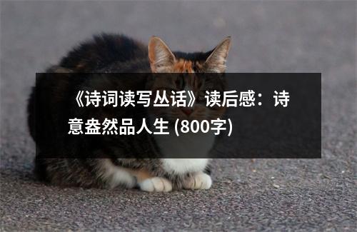 《詩(shī)詞讀寫(xiě)叢話》讀后感：詩(shī)意盎然品人生 (800字)