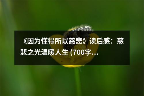 《因為懂得所以慈悲》讀后感：慈悲之光溫暖人生 (700字)