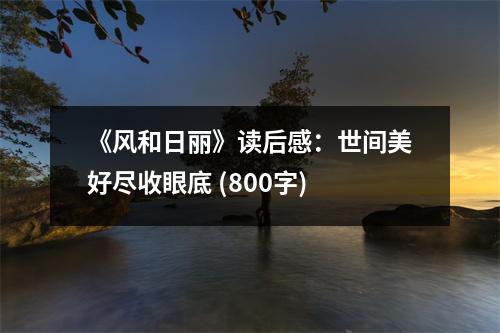 《風和日麗》讀后感：世間美好盡收眼底 (800字)