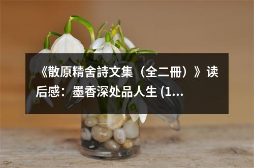 《散原精舍詩文集（全二冊）》讀后感：墨香深處品人生 (1050字)