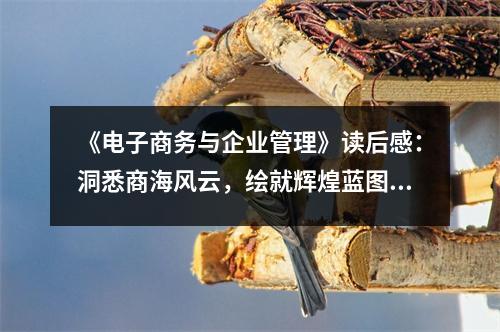 《電子商務(wù)與企業(yè)管理》讀后感：洞悉商海風(fēng)云，繪就輝煌藍(lán)圖 (900字)