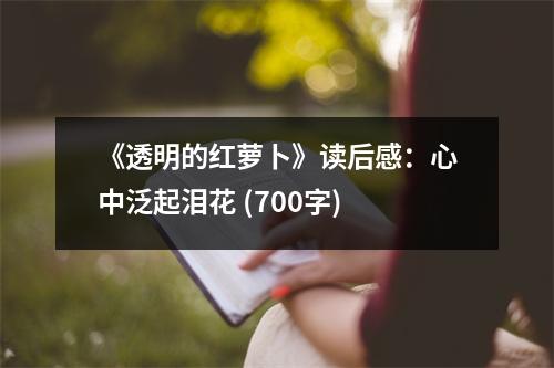 《透明的紅蘿卜》讀后感：心中泛起淚花 (700字)