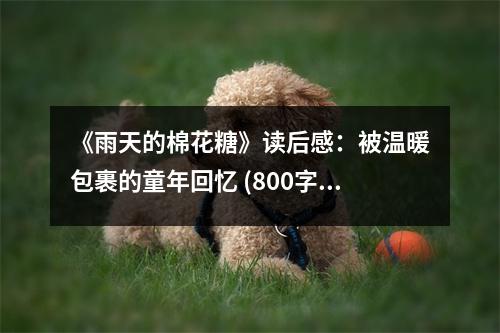 《雨天的棉花糖》讀后感：被溫暖包裹的童年回憶 (800字)