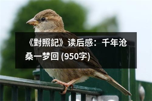 《對(duì)照記》讀后感：千年滄桑一夢(mèng)回 (950字)