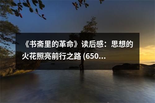 《書齋里的革命》讀后感：思想的火花照亮前行之路 (650字)