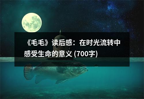 《毛毛》讀后感：在時光流轉(zhuǎn)中感受生命的意義 (700字)