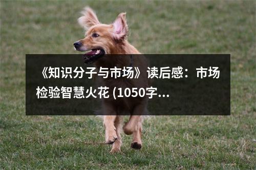 《知識分子與市場》讀后感：市場檢驗智慧火花 (1050字)