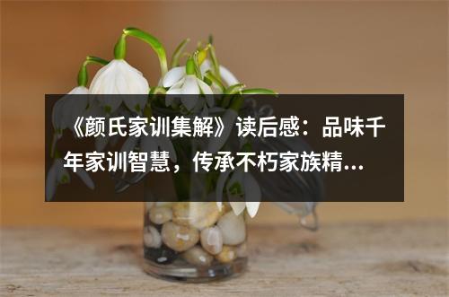 《顏氏家訓(xùn)集解》讀后感：品味千年家訓(xùn)智慧，傳承不朽家族精神 (900字)