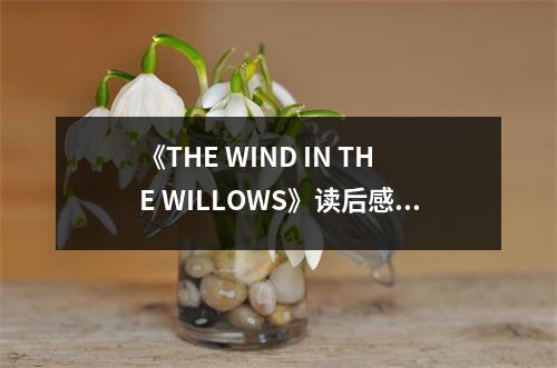 《THE WIND IN THE WILLOWS》讀后感：風中自由，心中詩意 (650字)