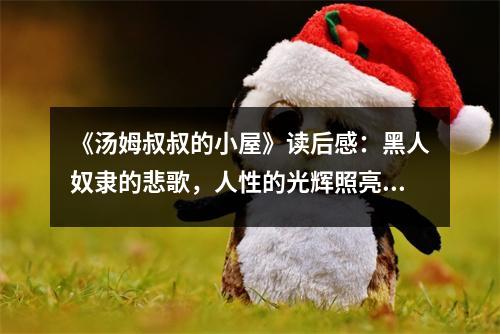 《湯姆叔叔的小屋》讀后感：黑人奴隸的悲歌，人性的光輝照亮黑暗 (1250字)