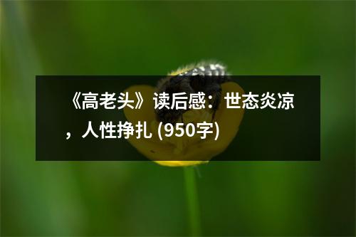 《高老頭》讀后感：世態(tài)炎涼，人性掙扎 (950字)