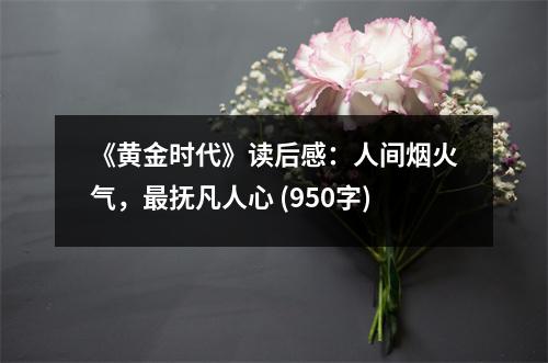 《黃金時代》讀后感：人間煙火氣，最撫凡人心 (950字)