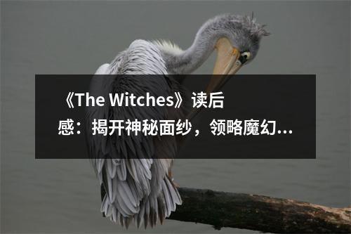 《The Witches》讀后感：揭開神秘面紗，領(lǐng)略魔幻魅力 (700字)