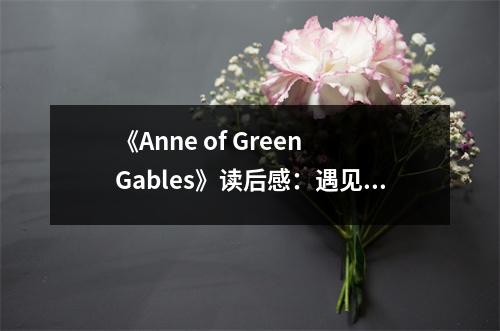 《Anne of Green Gables》讀后感：遇見安妮，遇見最純真的夢想 (1050字)