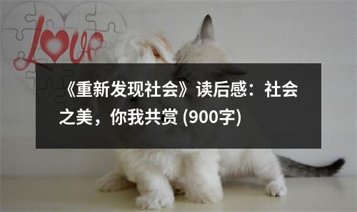 《重新發(fā)現(xiàn)社會》讀后感：社會之美，你我共賞 (900字)