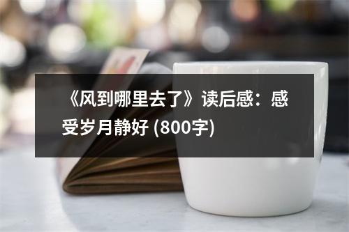《風(fēng)到哪里去了》讀后感：感受歲月靜好 (800字)