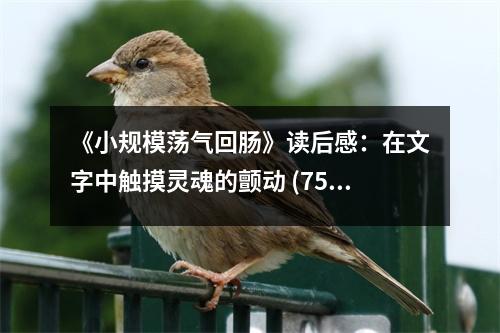 《小規(guī)模蕩氣回腸》讀后感：在文字中觸摸靈魂的顫動 (750字)