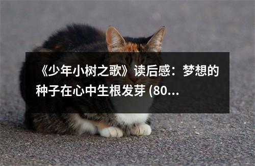 《少年小樹之歌》讀后感：夢想的種子在心中生根發(fā)芽 (800字)