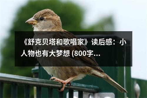 《舒克貝塔和歌唱家》讀后感：小人物也有大夢想 (800字)