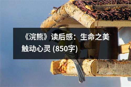 《浣熊》讀后感：生命之美觸動心靈 (850字)