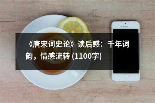 《唐宋詞史論》讀后感：千年詞韻，情感流轉(zhuǎn) (1100字)