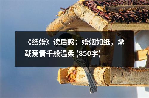《紙婚》讀后感：婚姻如紙，承載愛情千般溫柔 (850字)