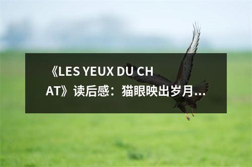 《LES YEUX DU CHAT》讀后感：貓眼映出歲月滄桑 (750字)