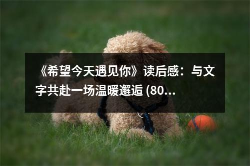 《希望今天遇見你》讀后感：與文字共赴一場溫暖邂逅 (800字)