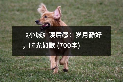 《小城》讀后感：歲月靜好，時光如歌 (700字)