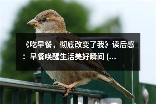《吃早餐，徹底改變了我》讀后感：早餐喚醒生活美好瞬間 (800字)
