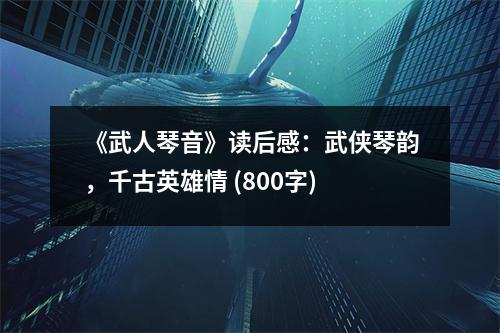 《武人琴音》讀后感：武俠琴韻，千古英雄情 (800字)