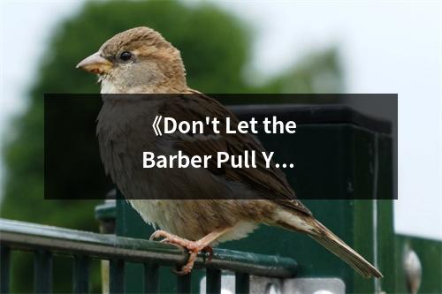 《Don't Let the Barber Pull Your Teeth》讀后感：識(shí)破謊言，守護(hù)內(nèi)心平和 (700字)